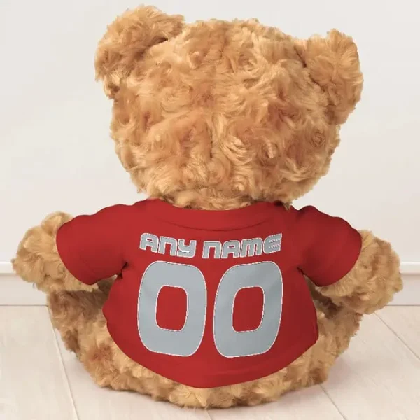 Atlanta Falcons NFL Personalized Teddy Bear For Fan SPTTEDDYBEAR001 - Image 2