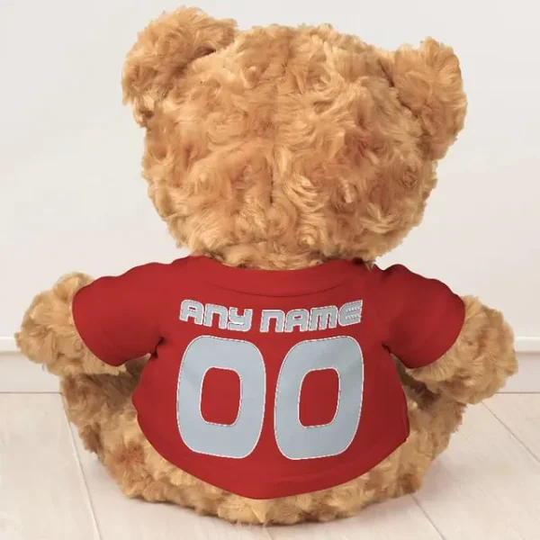 Tampa Bay Buccaneers NFL Personalized Teddy Bear For Fan SPTTEDDYBEAR016 - Image 8