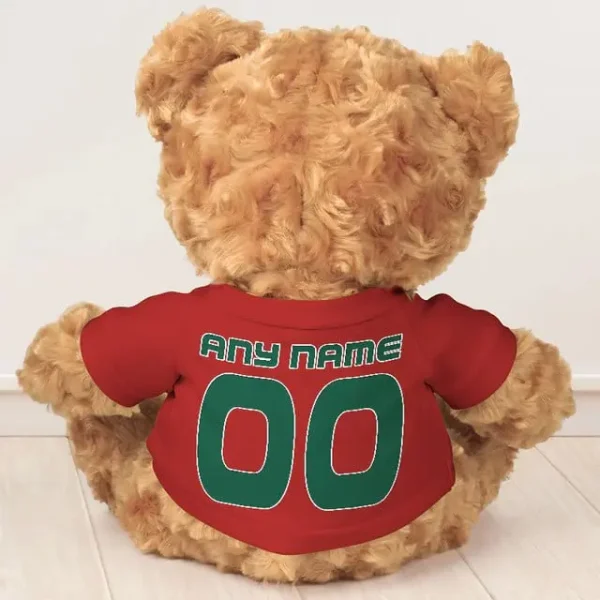 New York Jets NFL Personalized Teddy Bear For Fan SPTTEDDYBEAR025 - Image 8