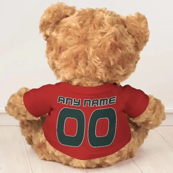 Green Bay Packers NFL Personalized Teddy Bear For Fan SPTTEDDYBEAR026 - Image 8