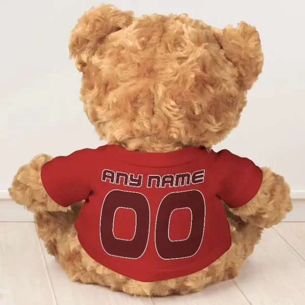 Washington Redskins NFL Personalized Teddy Bear For Fan SPTTEDDYBEAR027 - Image 8